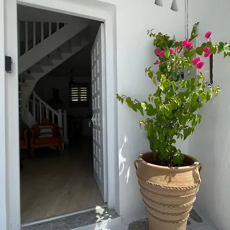 Anthoula Paros * Naousa (Paros)